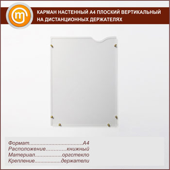 Карман настенный А3 плоский вертикальный на дистанционных держателях